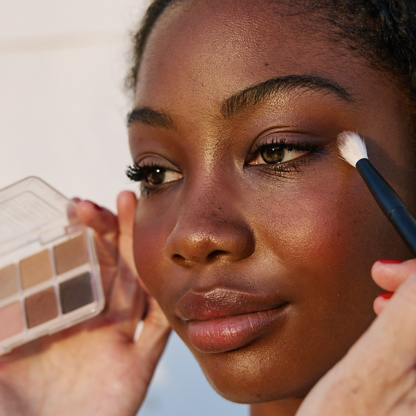 Eyeshadow Palettes